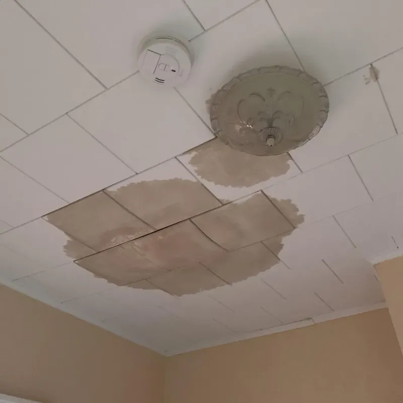Ceiling Water Damage Repair in New Sarpy, LA